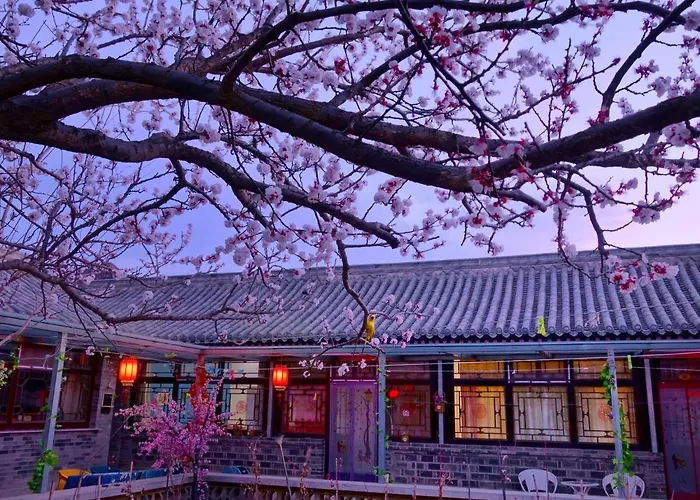 Beijing Badaling Great Wall Caos Courtyard Guesthousel 1Private English Tour Guide 2Pick Up&Drof Off &Landmark Visiting Serivice3Very Near To Badaling Great Wall4Offer Free Beijing Travel Guide5Traditonal Chinese Courtyard